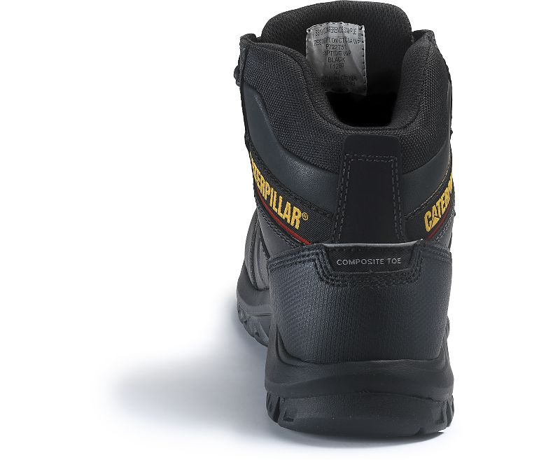 Resorption CT WP Boot - Image 6